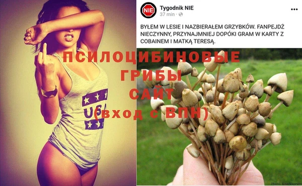 героин Туринск